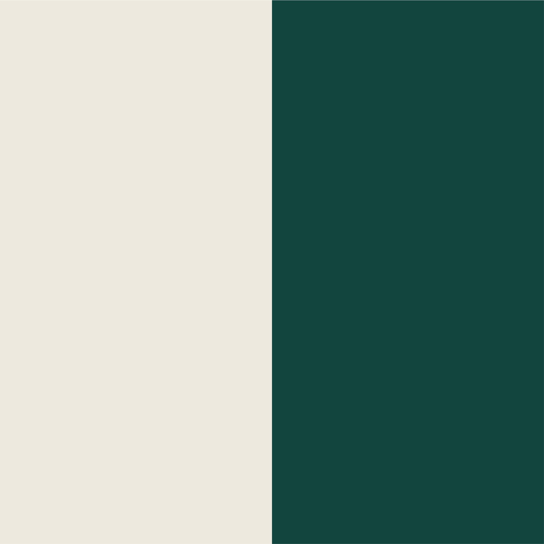 blanc-vert nubuck