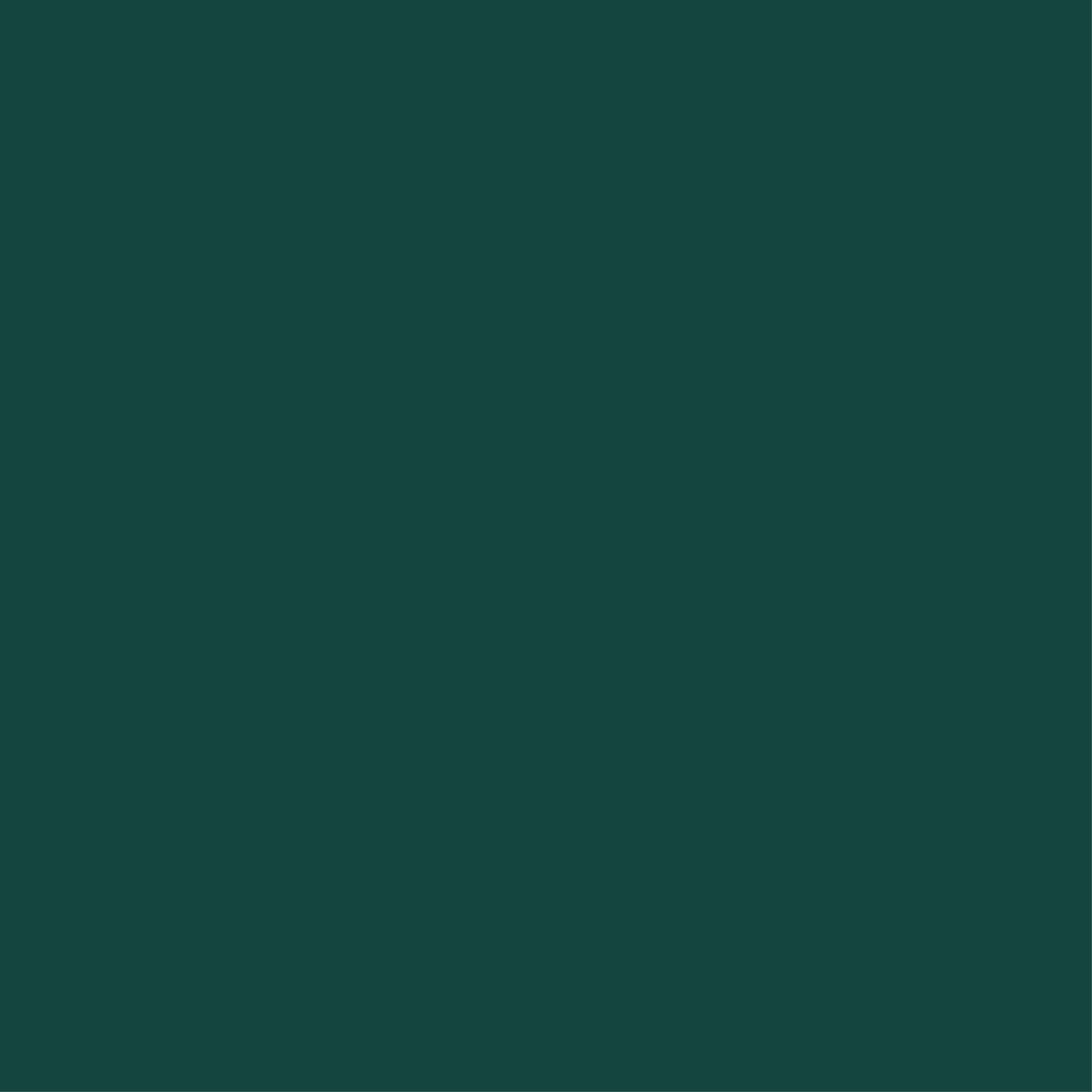 vert nubuck