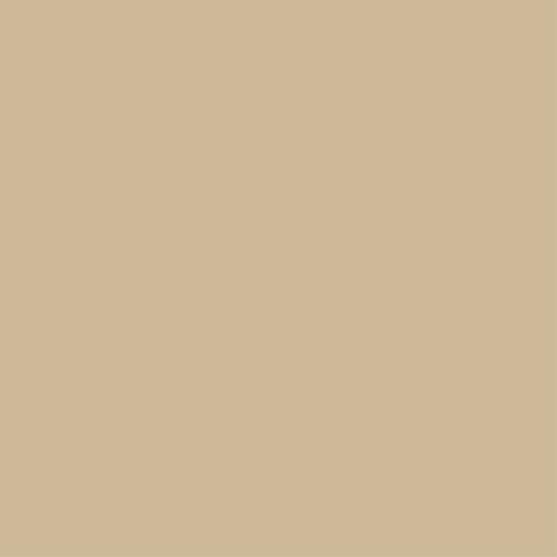 Champagne nubuck