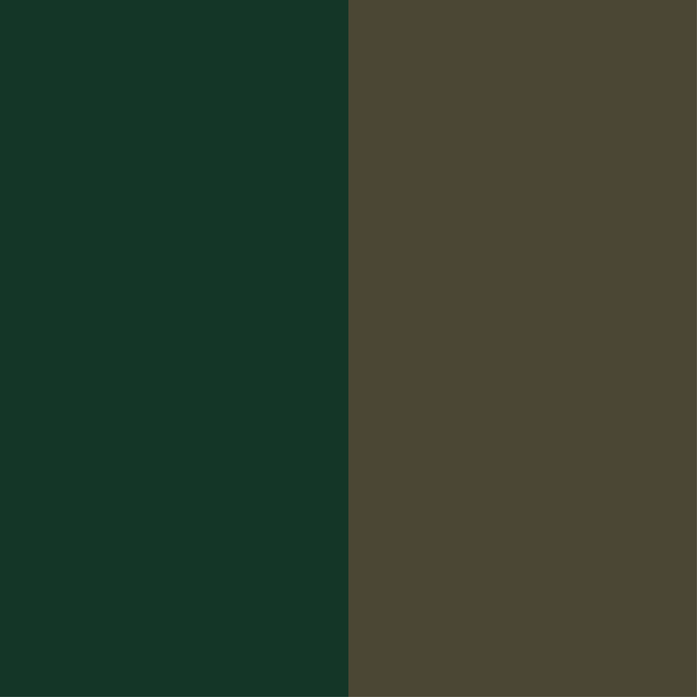 vert-kaki nubuck