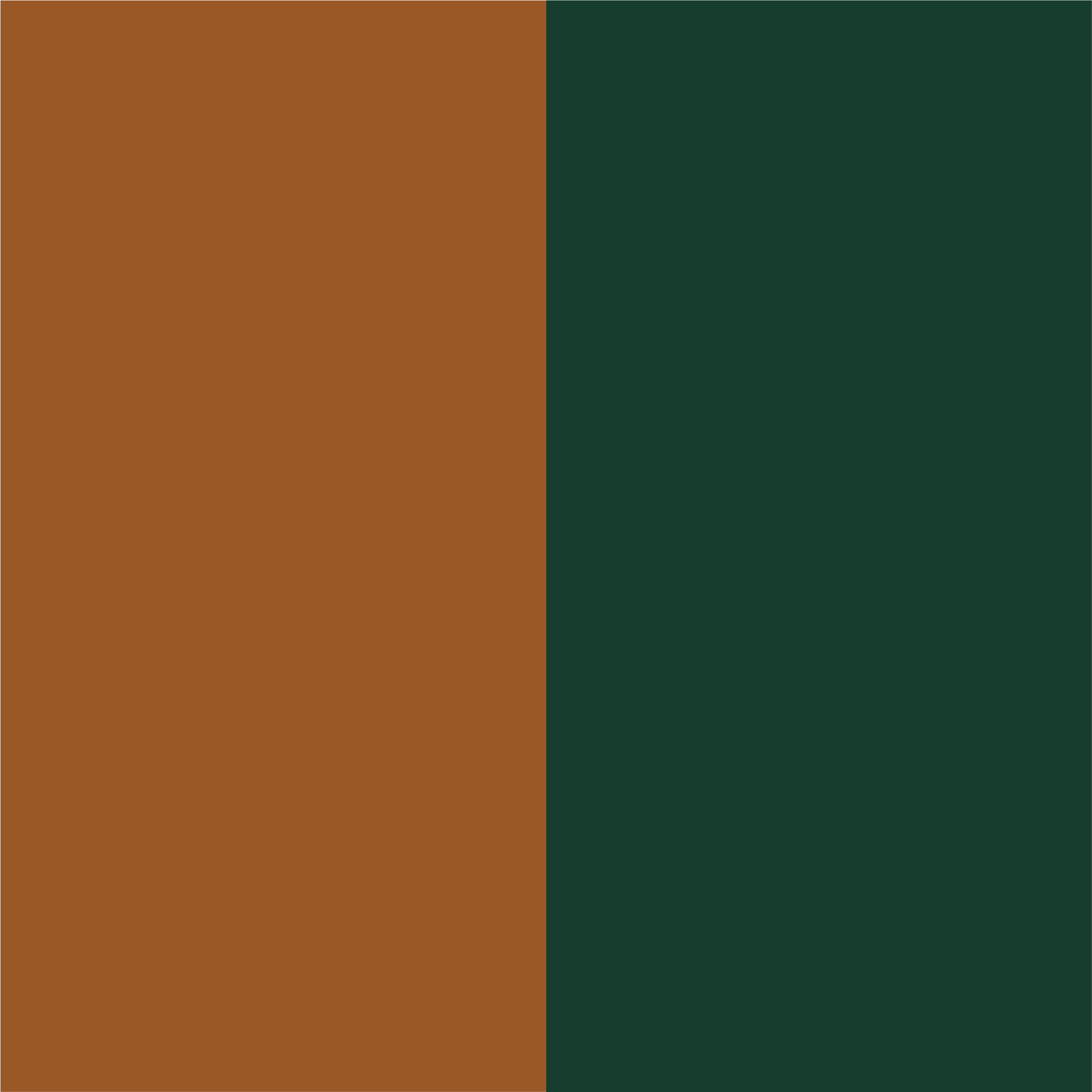 Caramel nubuck - vert bouteille