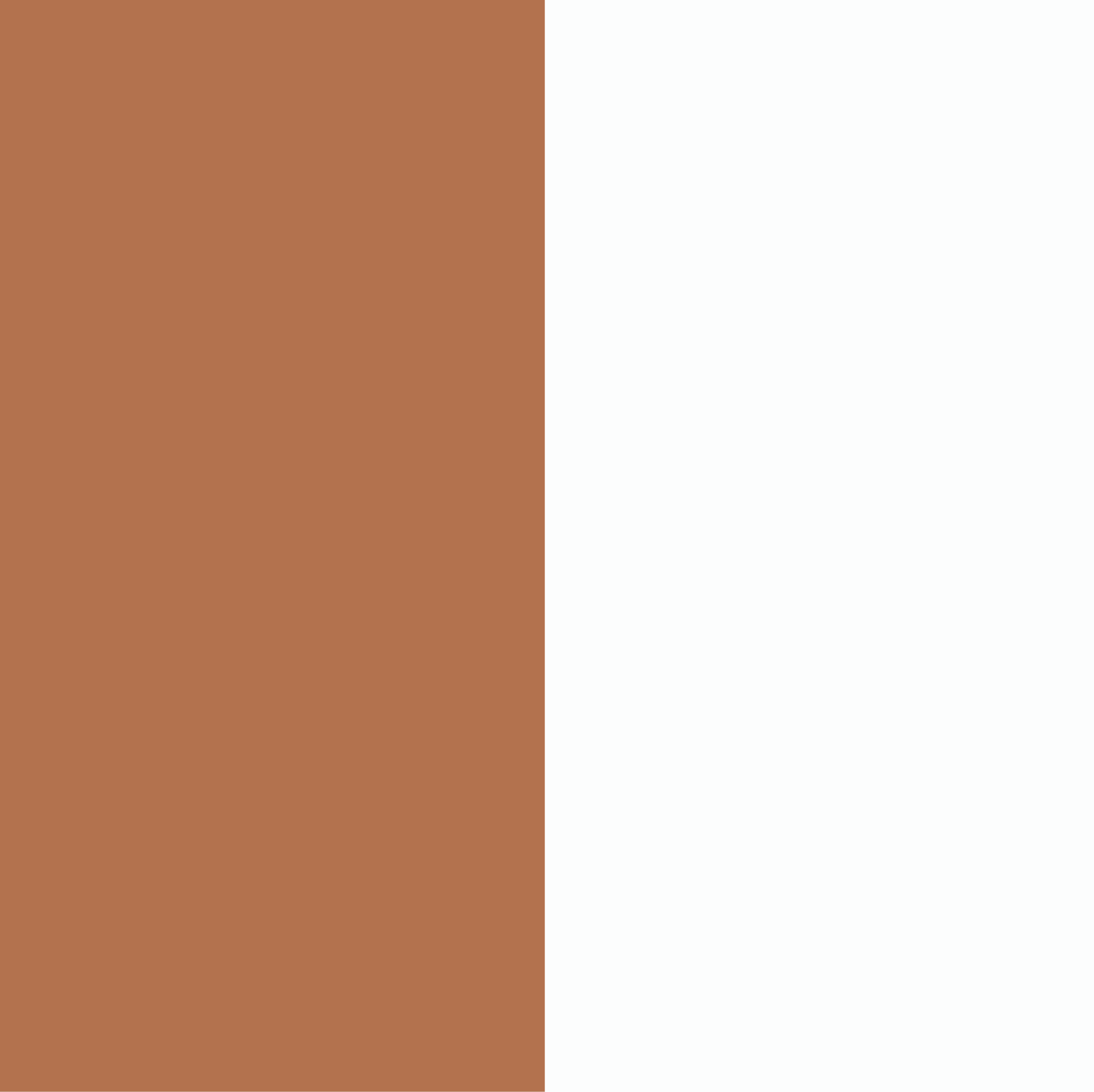 marron-blanc