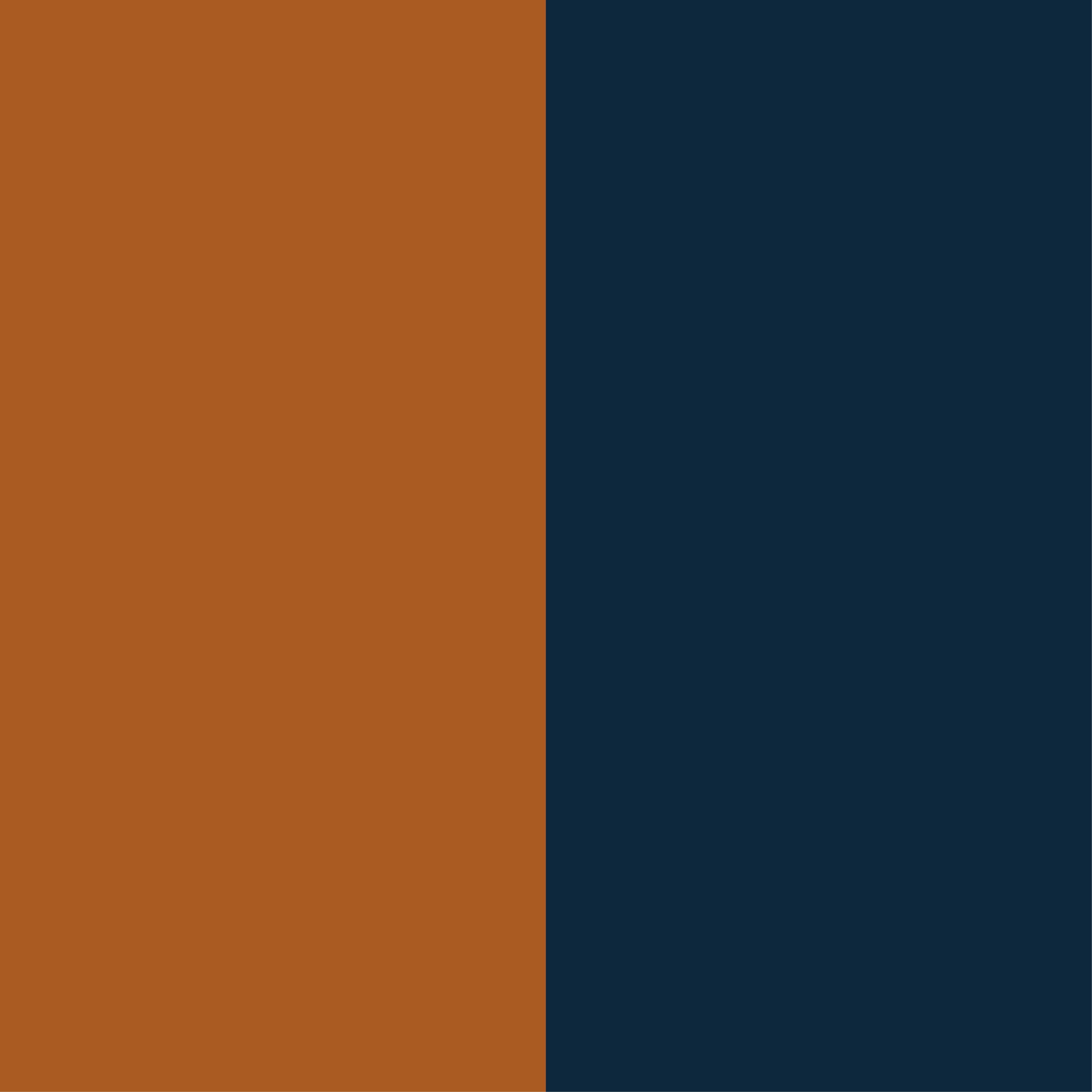 caramel nubuck-navy