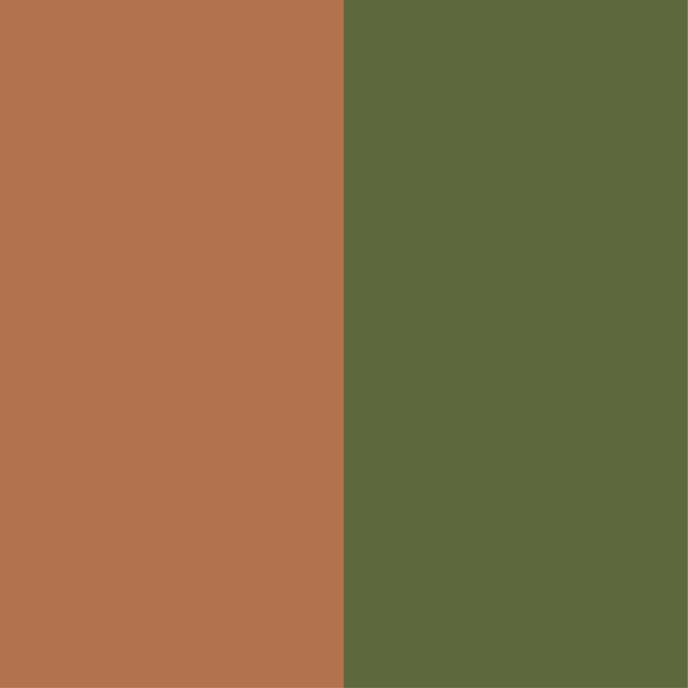 Marron - kaki