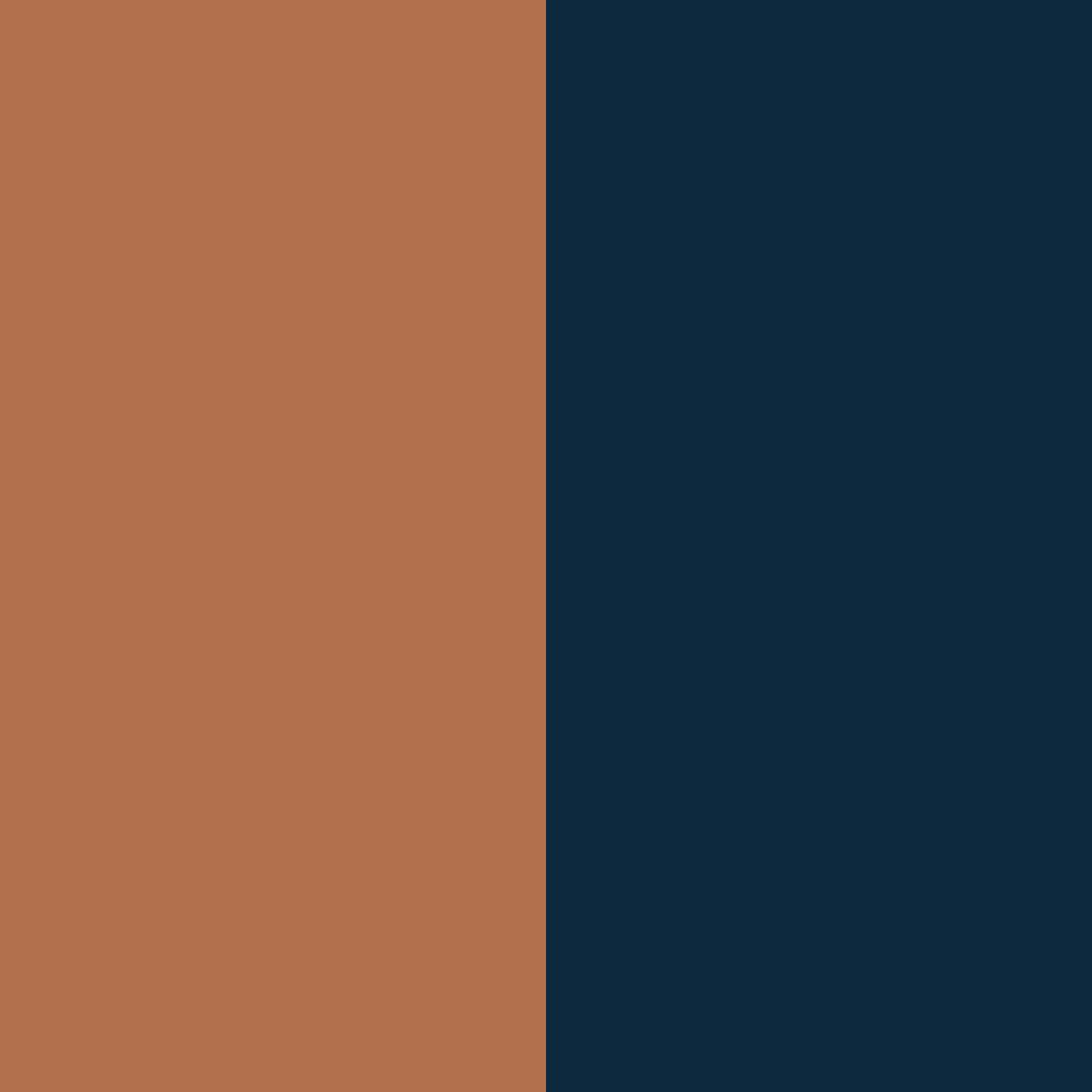 Marron - élastique marine